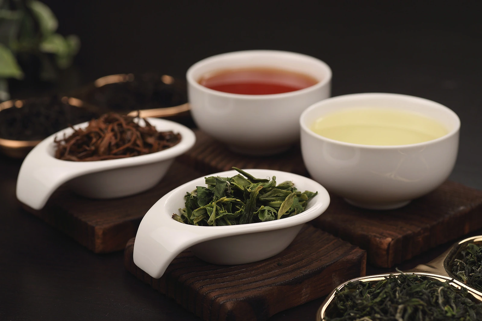 嶢陽茶行精選台灣茶品與茶湯